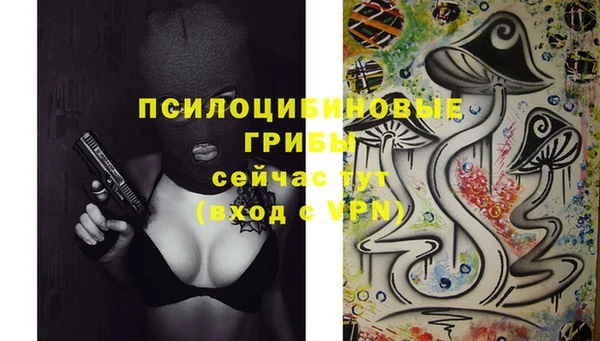 гидра Иннополис