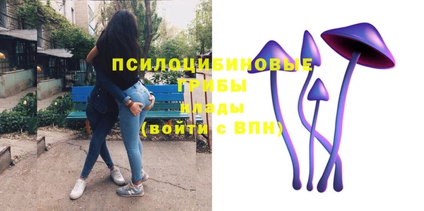 гидра Иннополис